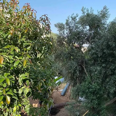 Deniz manzaralı,teraslı,doğa içinde müstakilsi ev Apartamento Alanya