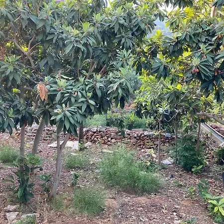 Apartment Deniz Manzarali,Terasli,Doga Icinde Muestakilsi Ev