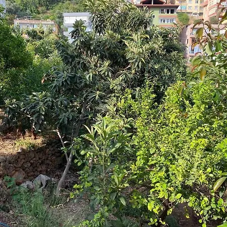 Apartment Deniz Manzarali,Terasli,Doga Icinde Muestakilsi Ev *